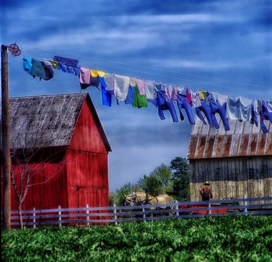 farma-amish.jpg