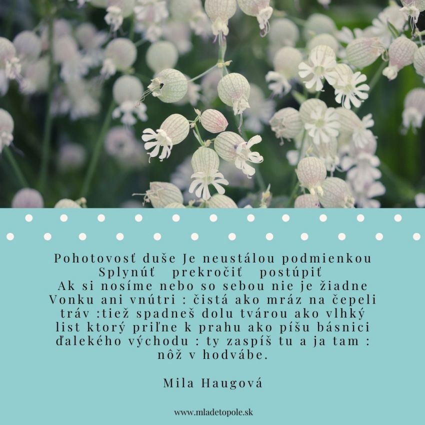 Mila Haugová: Ak si nosíme nebo so sebou nie je žiadne
