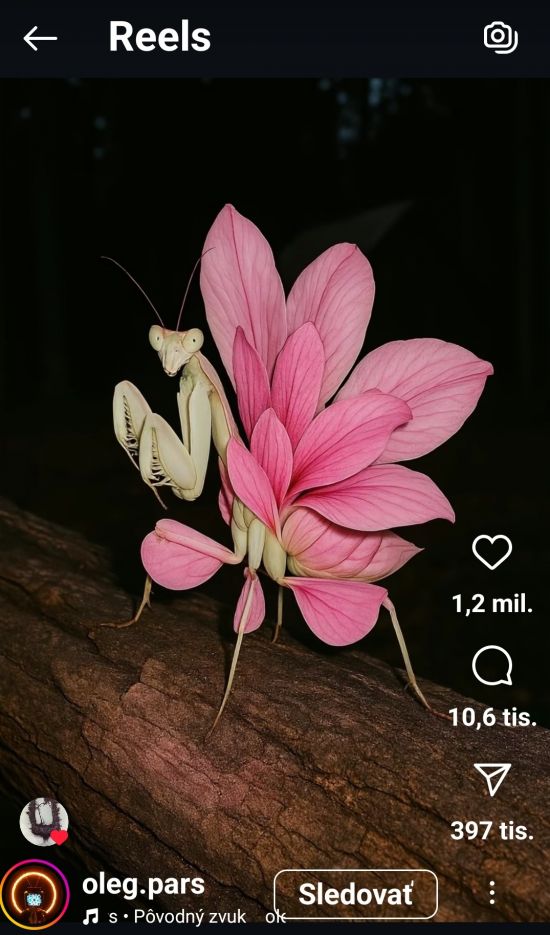 stylova-paradnica-z-instagramu.jpg
